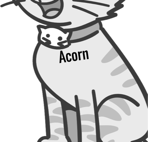 Acorn pet