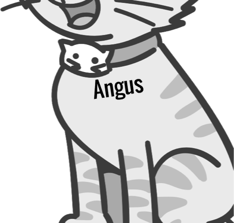 Angus pet