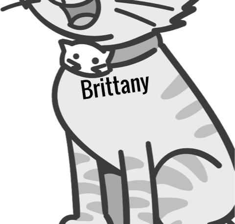 Brittany pet