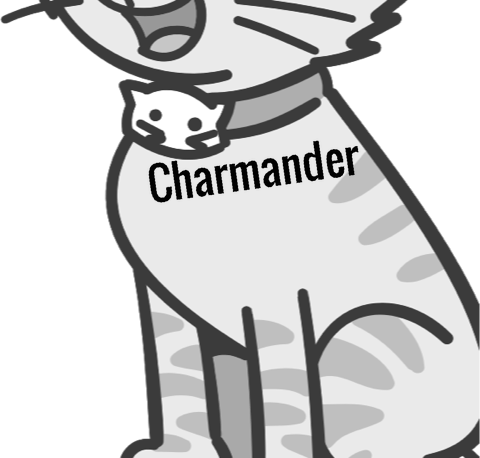 Charmander pet
