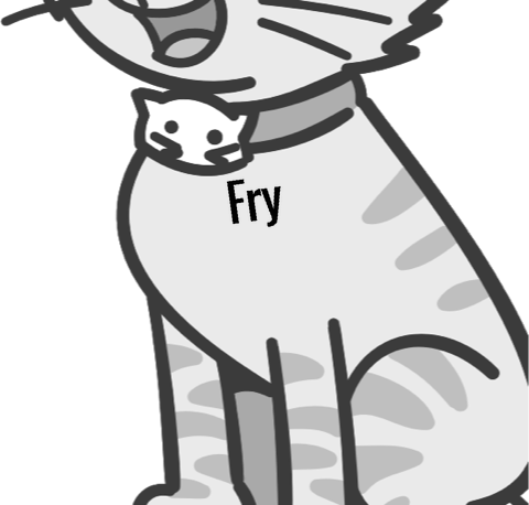 Fry pet