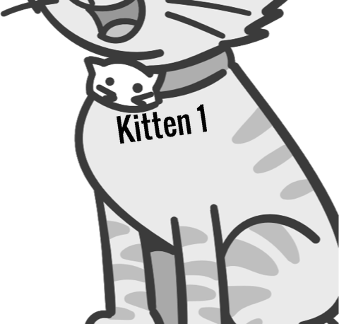 Kitten 1 pet