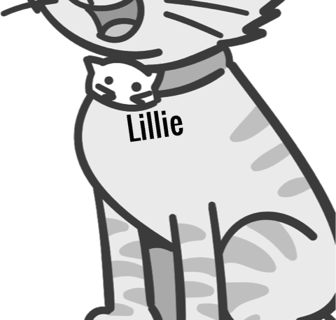 Lillie pet