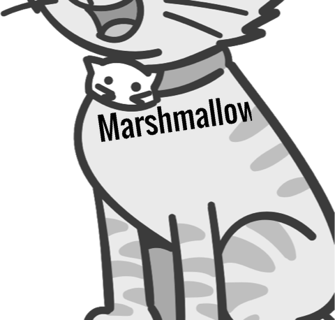 Marshmallow pet