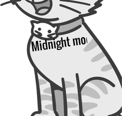 Midnight moon pet