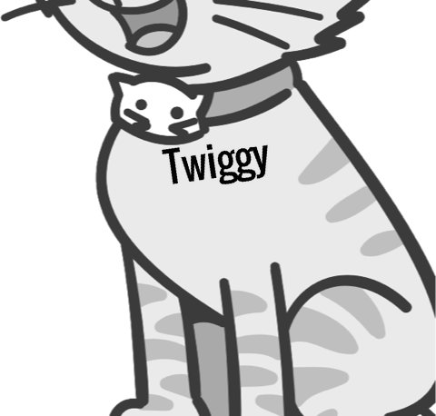 Twiggy pet