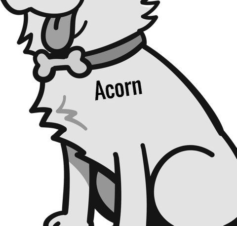 Acorn pet