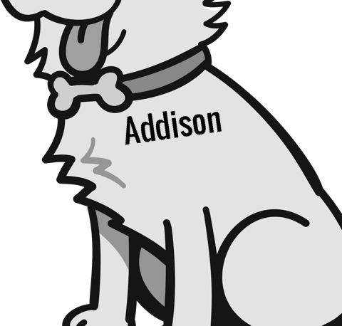 Addison pet