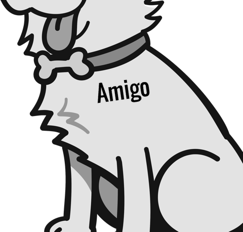 Amigo pet