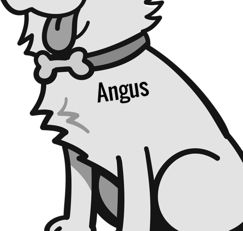 Angus pet
