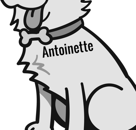 Antoinette pet