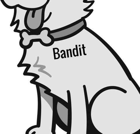 Bandit pet