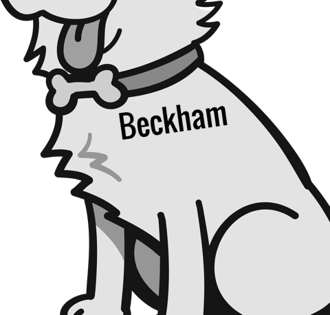 Beckham pet