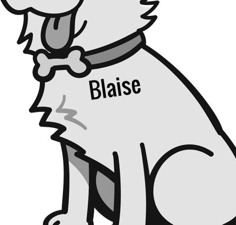 Blaise pet