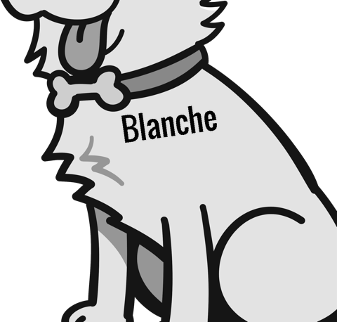 Blanche pet