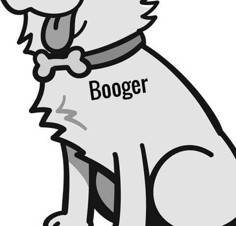 Booger pet