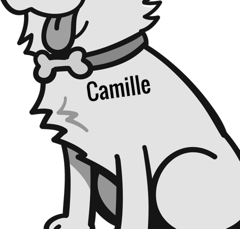 Camille pet