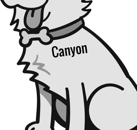 Canyon pet