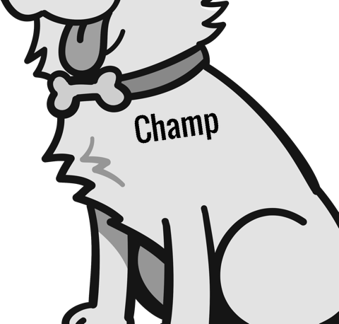 Champ pet