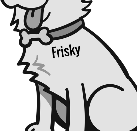 Frisky pet
