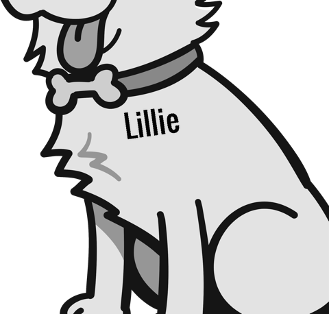 Lillie pet