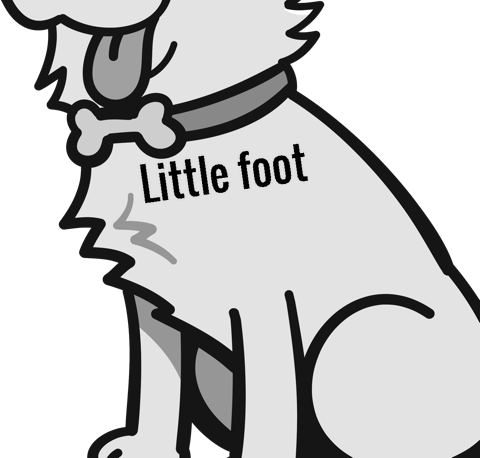 Little foot pet