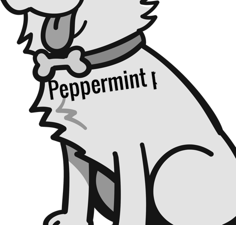 Peppermint patty pet