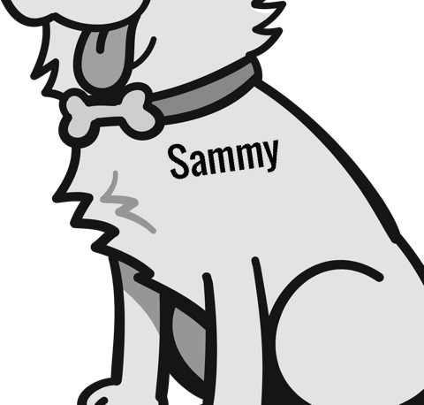 Sammy pet