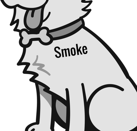 Smoke pet