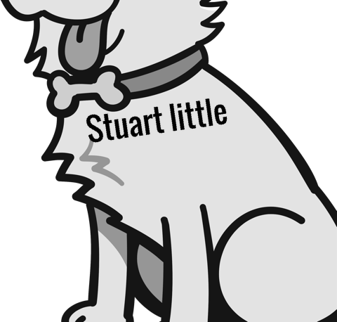 Stuart little pet
