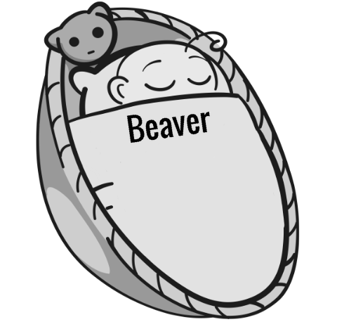 Beaver sleeping baby