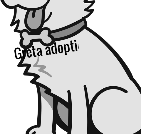 picture of the dog needing adoption
